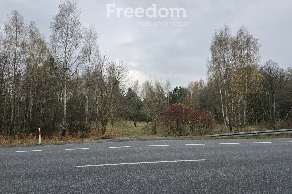 Działka 49 600,00 m², oferta nr , 9129/3685/OGS, Horbów-Kolonia