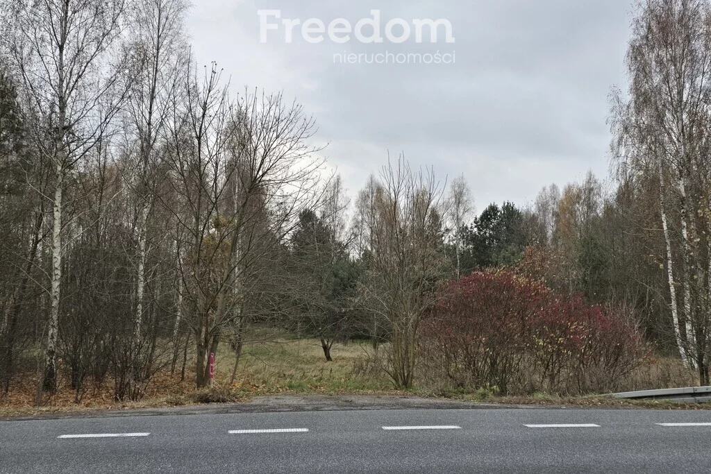 Działka 49 600,00 m², oferta nr , 9129/3685/OGS, Horbów-Kolonia