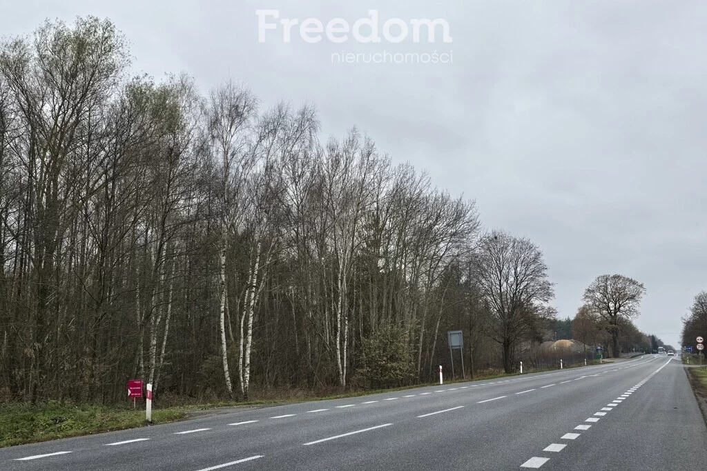 Działka 49 600,00 m², oferta nr , 9129/3685/OGS, Horbów-Kolonia