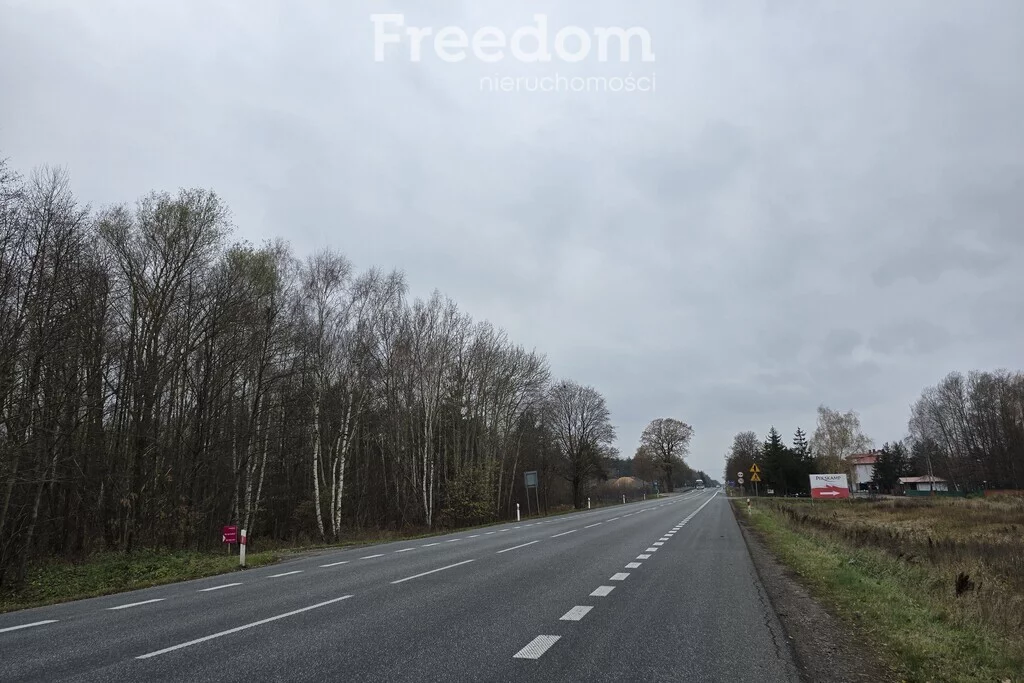 Działka 49 600,00 m², oferta nr , 9129/3685/OGS, Horbów-Kolonia