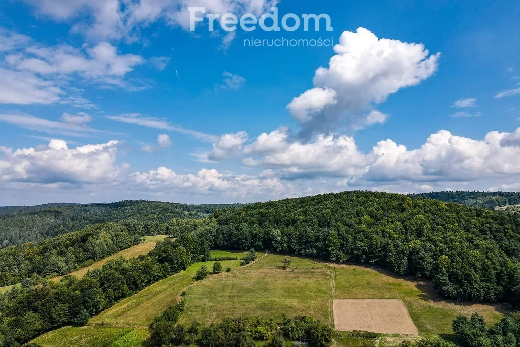 Działka 6 700,00 m², oferta nr , 6499/3685/OGS, Huta Brzuska