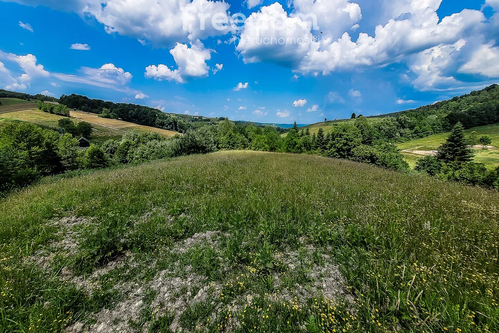 Działka 6 700,00 m², oferta nr , 6499/3685/OGS, Huta Brzuska