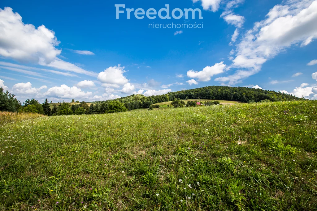 Działka 6 700,00 m², oferta nr , 6499/3685/OGS, Huta Brzuska