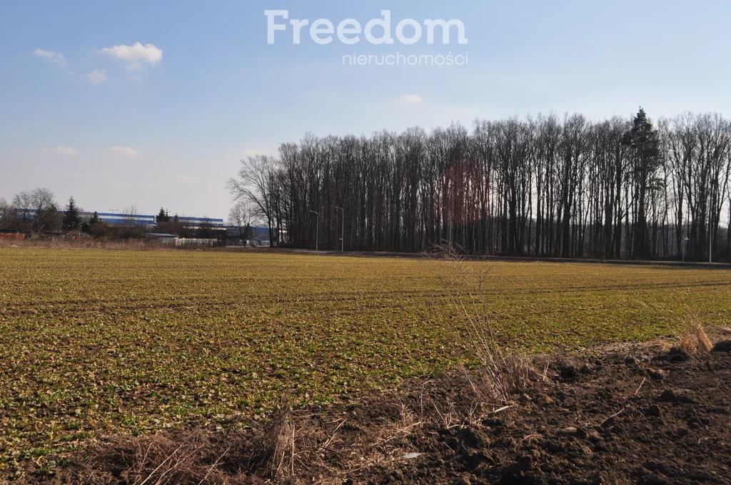 Działka 852,00 m², oferta nr , 3969/3685/OGS, Września, Ignacego Paderewskiego