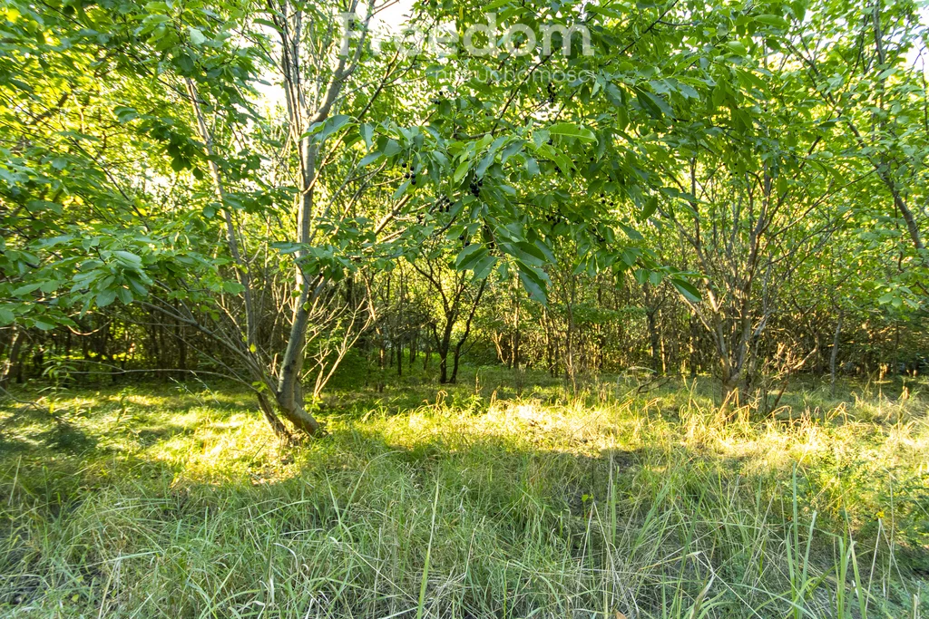 Działka 8 837,00 m², oferta nr , 10109/3685/OGS, Ignacówka Trzecia