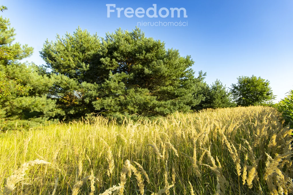Działka 8 837,00 m², oferta nr , 10109/3685/OGS, Ignacówka Trzecia