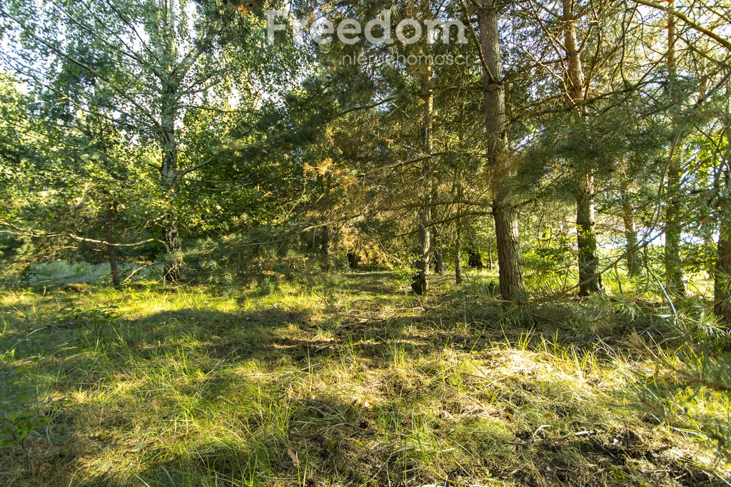 Działka 8 837,00 m², oferta nr , 10109/3685/OGS, Ignacówka Trzecia