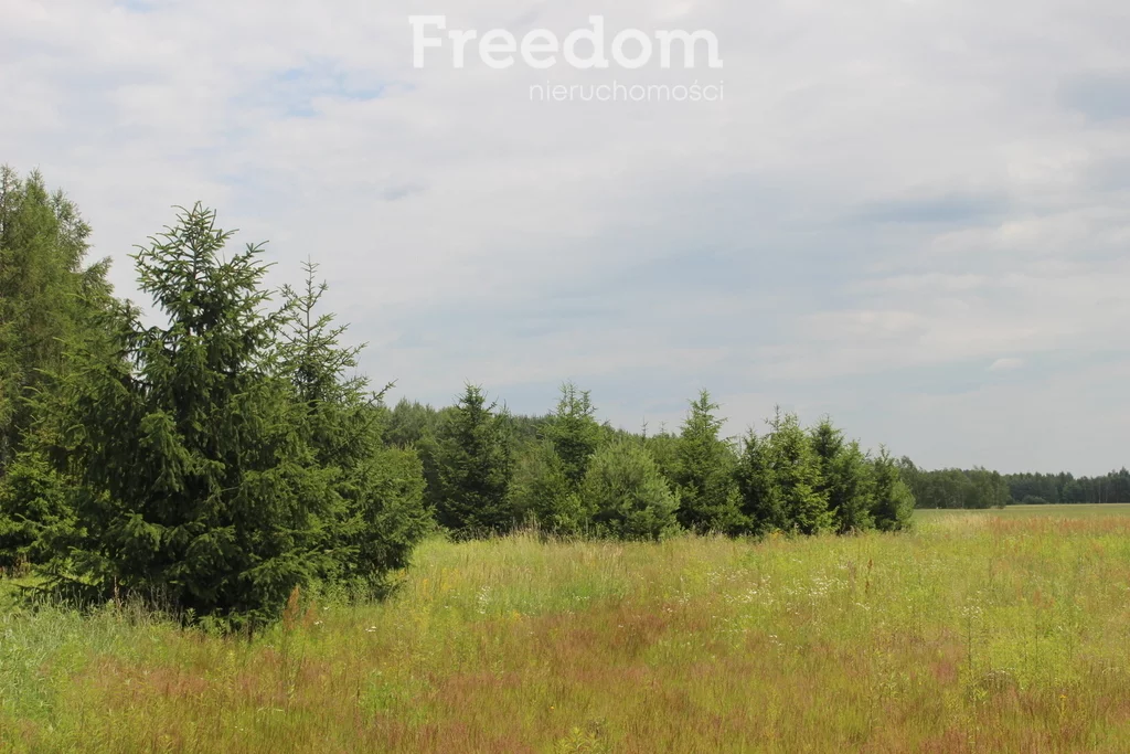 Działka 932,00 m², oferta nr , 9546/3685/OGS, Radawa, Ignasze