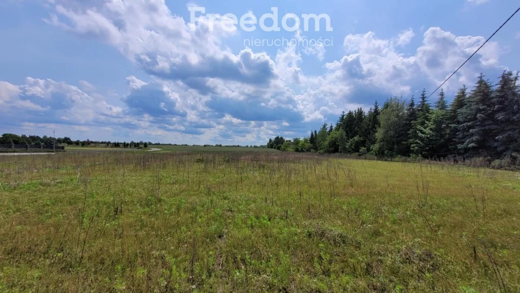 Działka 1 600,00 m², oferta nr , 10702/3685/OGS, Poznań, Morasko-Radojewo, Radojewo, Imbirowa