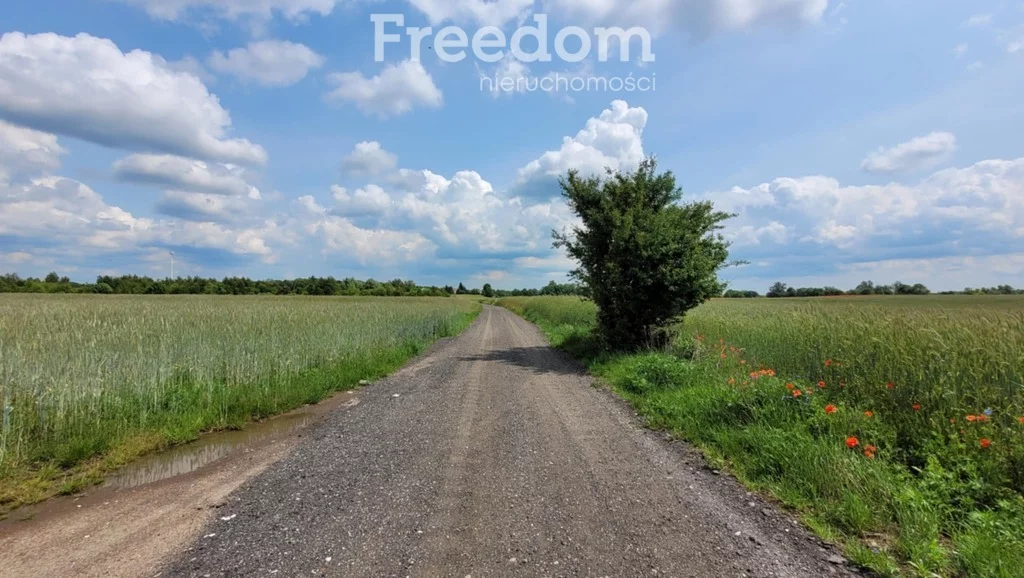 Działka 1 600,00 m², oferta nr , 10702/3685/OGS, Poznań, Morasko-Radojewo, Radojewo, Imbirowa