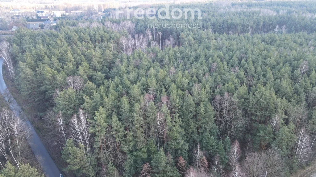 Działka 4 000,00 m², oferta nr , 9246/3685/OGS, Izabelin