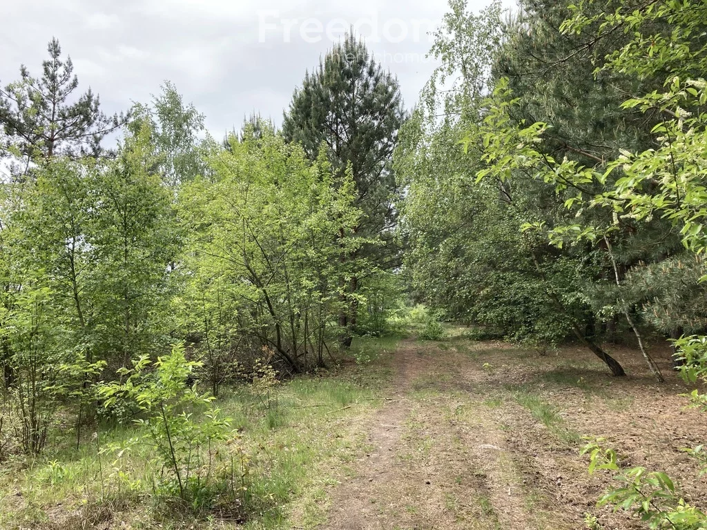 Działka 982,00 m², oferta nr , 10546/3685/OGS, Jadów