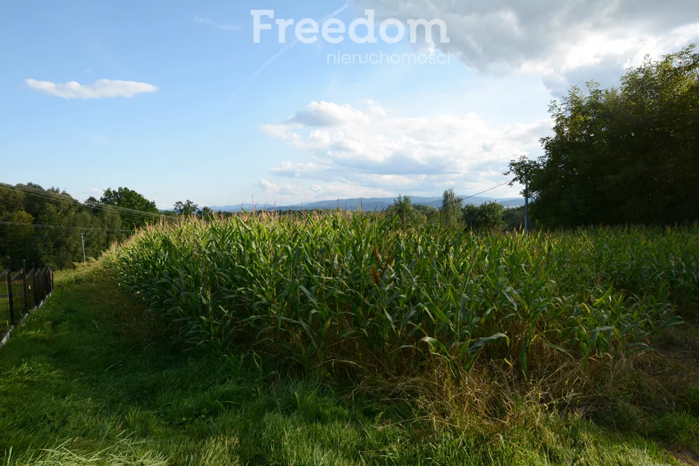 Działka 1 043,00 m², oferta nr , 11226/3685/OGS, Radocza, Jagiellońska