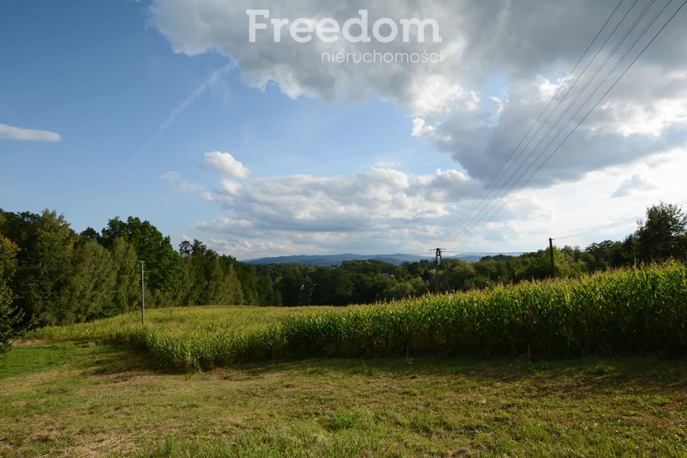 Działka 1 043,00 m², oferta nr , 11226/3685/OGS, Radocza, Jagiellońska
