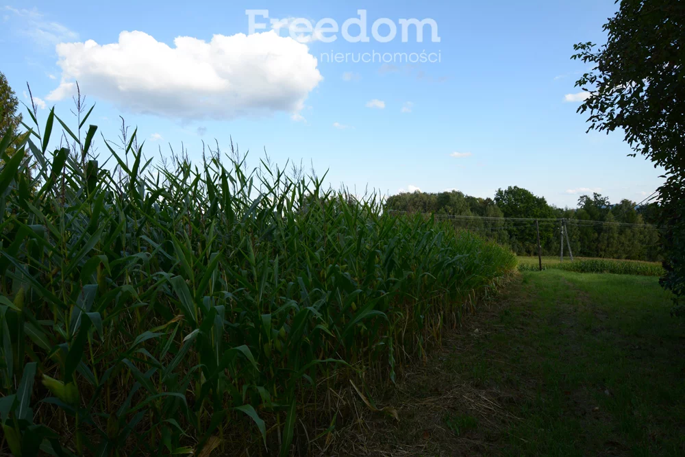 Działka 1 043,00 m², oferta nr , 11226/3685/OGS, Radocza, Jagiellońska