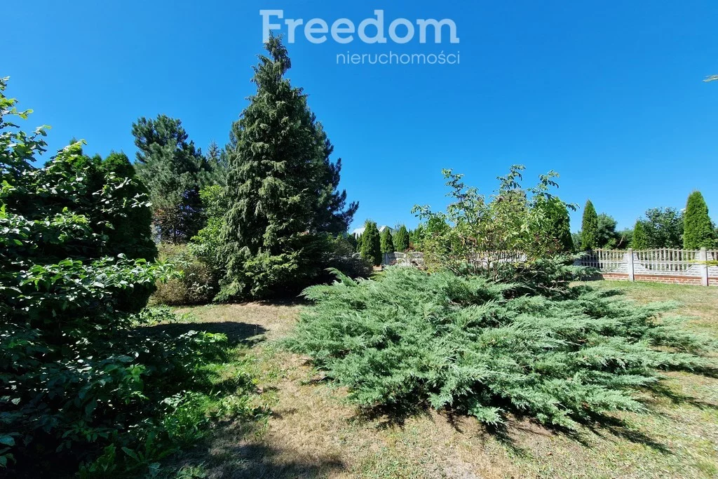 Działka 2 601,00 m², oferta nr , 8574/3685/OGS, Jagodnica