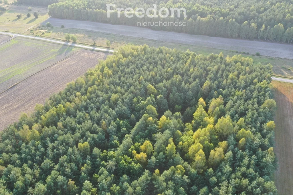 Działka 500,00 m², oferta nr , 11241/3685/OGS, Jagodno