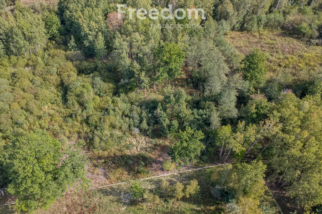 Działka 1 683,00 m², oferta nr , 9900/3685/OGS, Janinów
