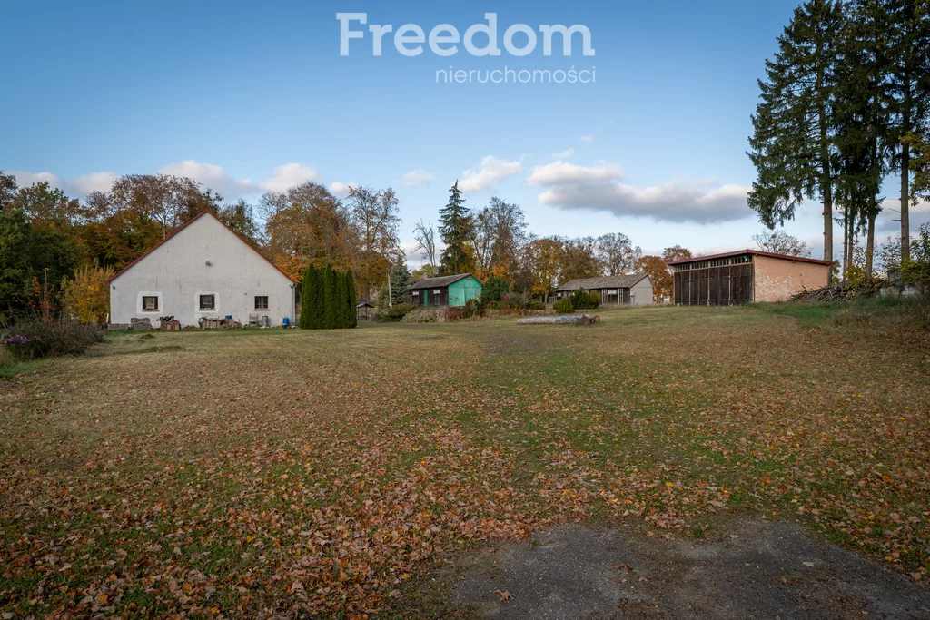 Działka 216 600,00 m², oferta nr , 10905/3685/OGS, Januszewo