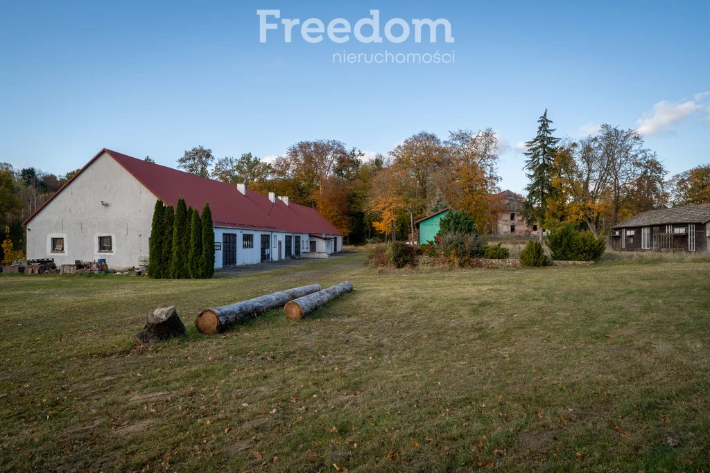 Działka 216 600,00 m², oferta nr , 10905/3685/OGS, Januszewo