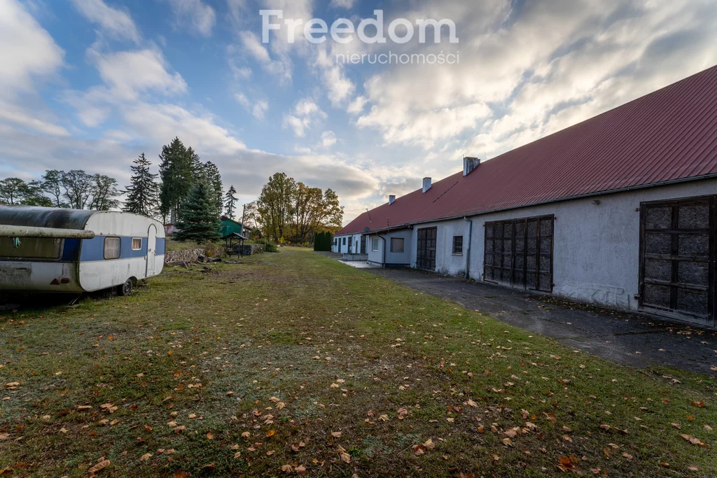 Działka 216 600,00 m², oferta nr , 10905/3685/OGS, Januszewo