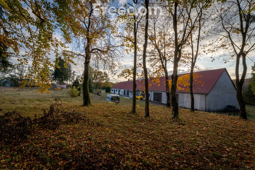 Działka 216 600,00 m², oferta nr , 10905/3685/OGS, Januszewo