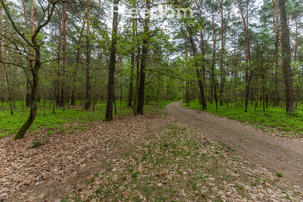 10560/3685/OGS - zdjęcie nr 0