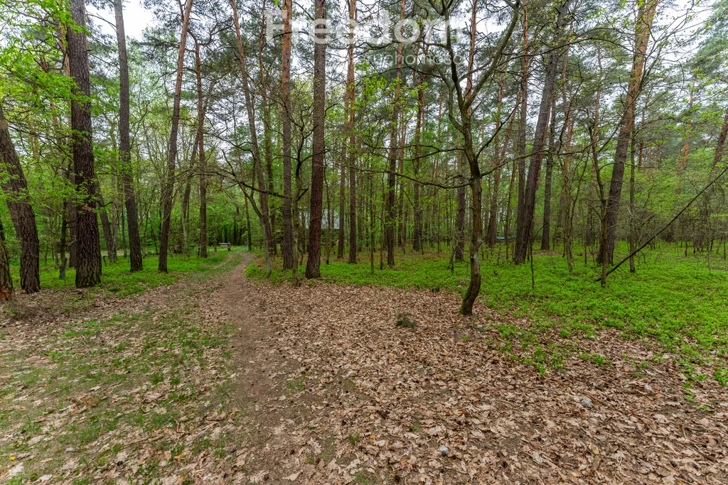 10560/3685/OGS - zdjęcie nr 1