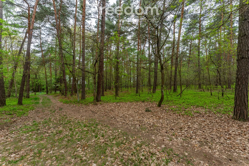 10560/3685/OGS - zdjęcie nr 4