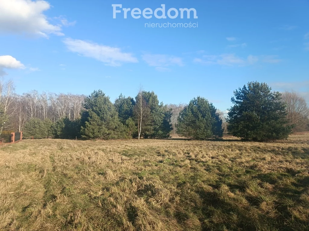 Działka 4 000,00 m², oferta nr , 9928/3685/OGS, Wągrodno, Jesionowa