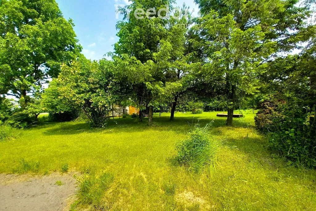 10824/3685/OGS - zdjęcie nr 1