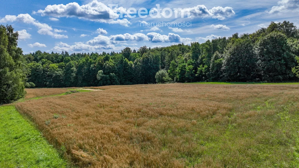 Działka 1 316,00 m², oferta nr , 11021/3685/OGS, Pisarzowice, Jutrzenki
