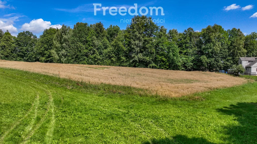 Działka 1 316,00 m², oferta nr , 11021/3685/OGS, Pisarzowice, Jutrzenki