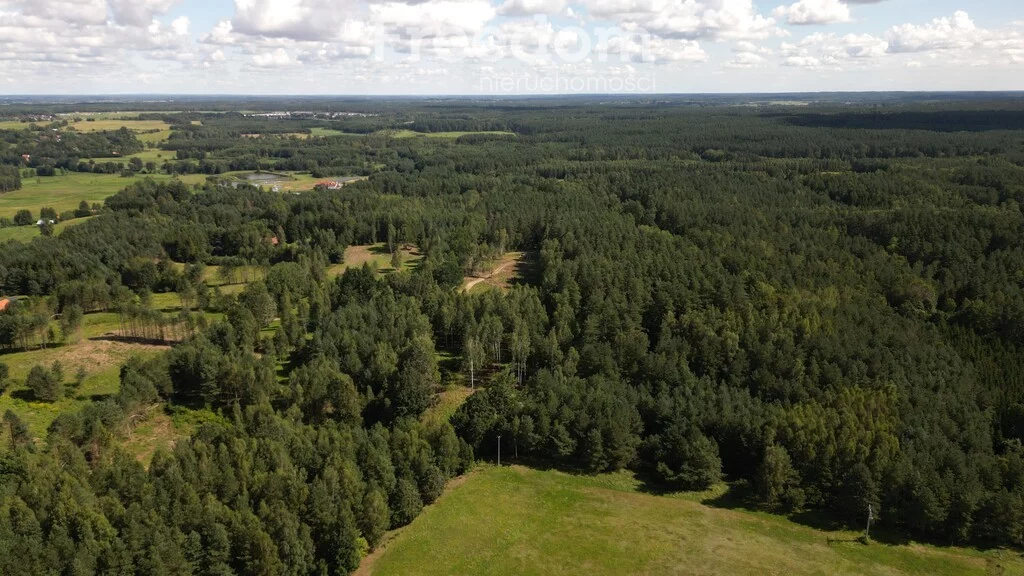 Działka 20 999,00 m², oferta nr , 11160/3685/OGS, Kaborno