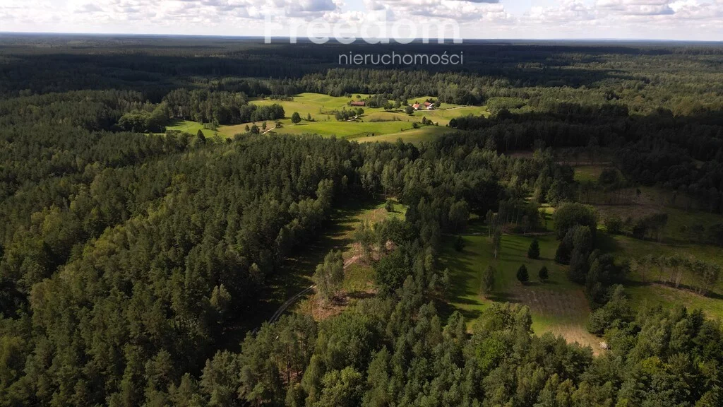 Działka 46 873,00 m², oferta nr , 11161/3685/OGS, Kaborno