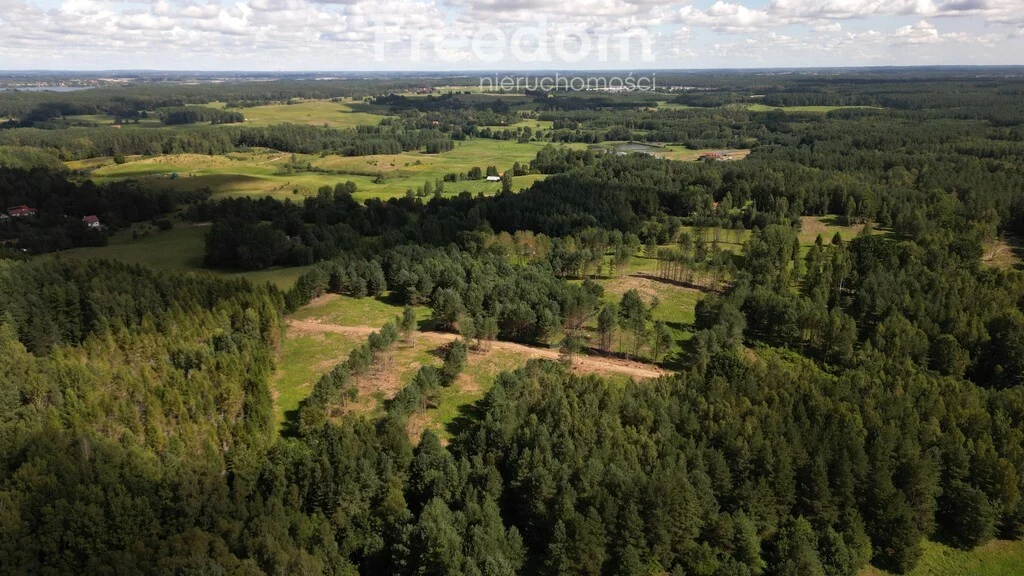 Działka 46 873,00 m², oferta nr , 11161/3685/OGS, Kaborno