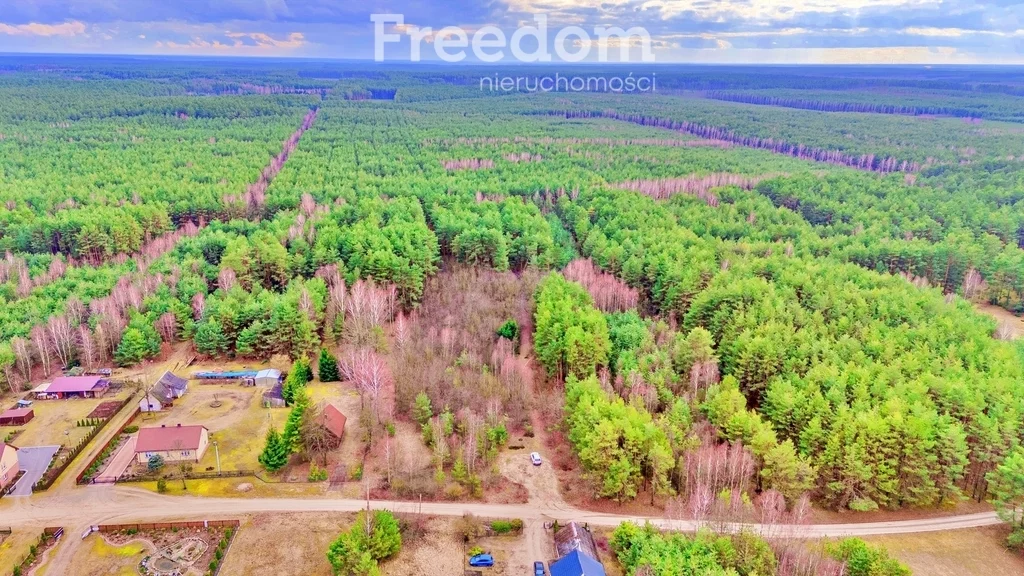Działka 7 906,00 m², oferta nr , 10511/3685/OGS, Kalinowo