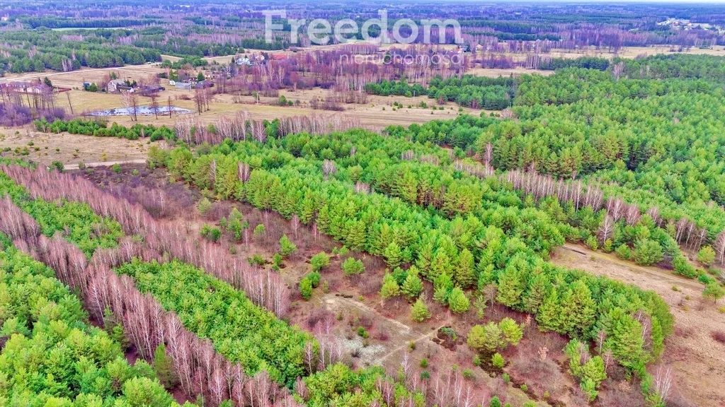 Działka 4 239,00 m², oferta nr , 10592/3685/OGS, Kalinowo