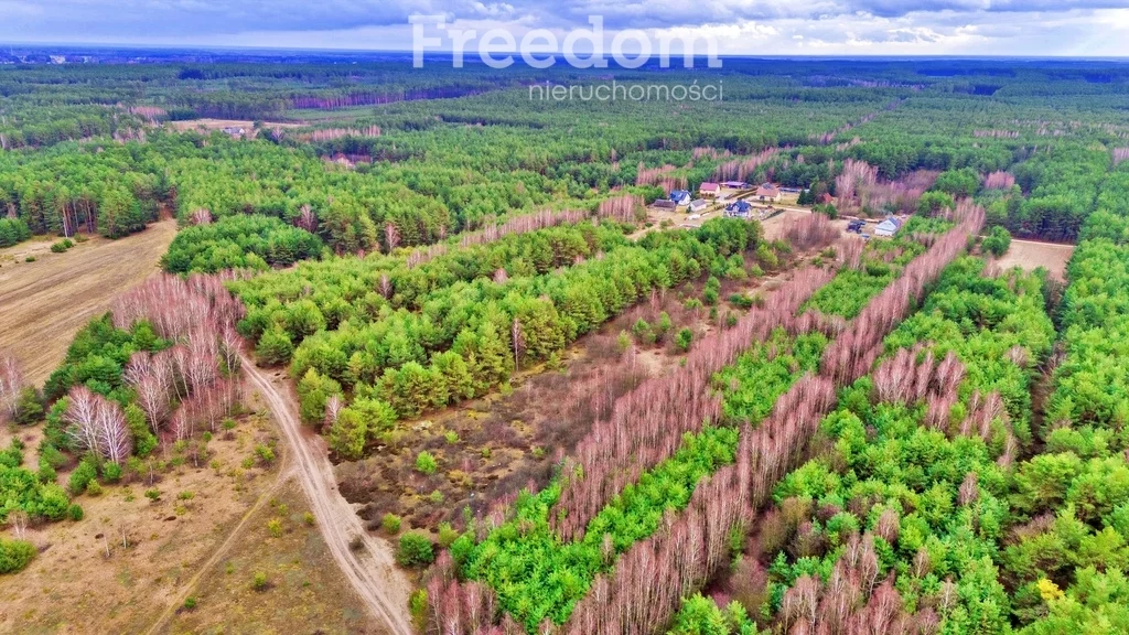 Działka 4 239,00 m², oferta nr , 10592/3685/OGS, Kalinowo