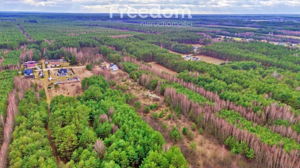 Działka 4 239,00 m², oferta nr , 10592/3685/OGS, Kalinowo
