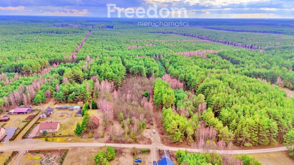 Działka 4 239,00 m², oferta nr , 10592/3685/OGS, Kalinowo