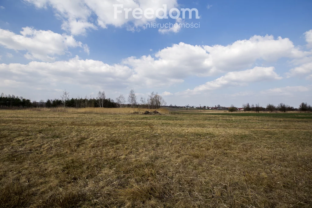 10265/3685/OGS - zdjęcie nr 4