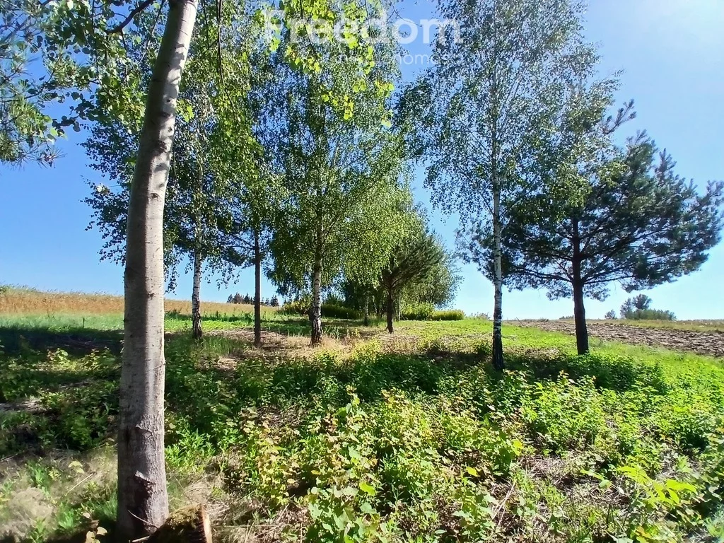 Działka 7 800,00 m², oferta nr , 10265/3685/OGS, Kamień