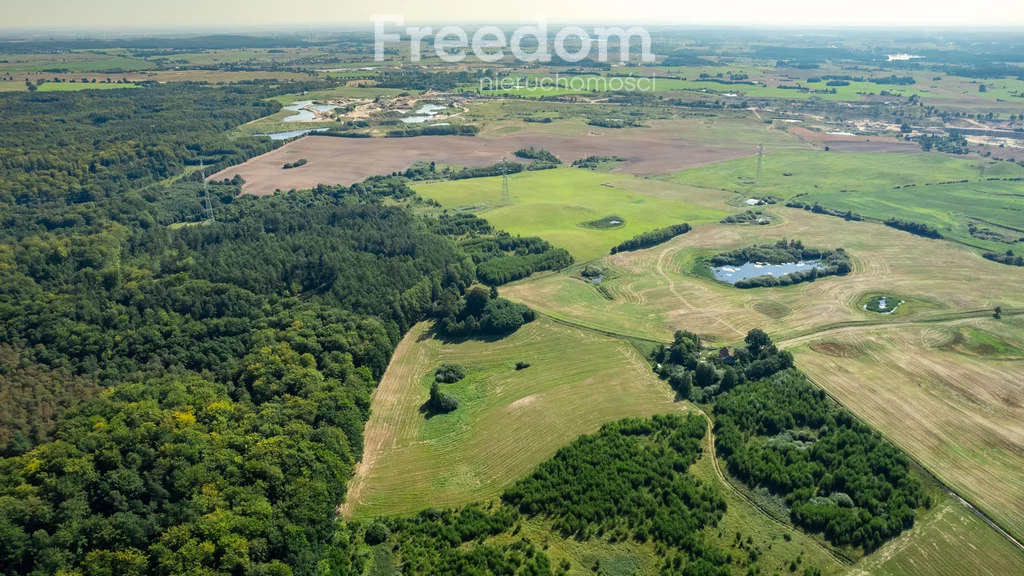 Działka 166 600,00 m², oferta nr , 8970/3685/OGS, Kamierowo