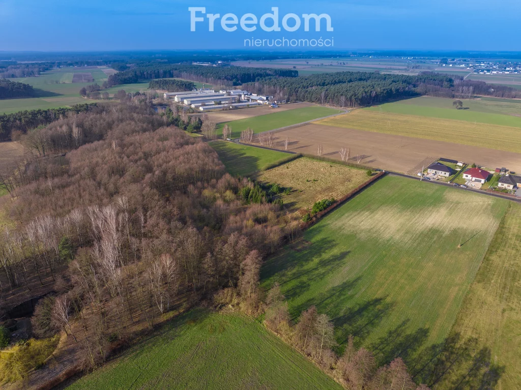 Działka 12 901,00 m², oferta nr , 10834/3685/OGS, Czmoń, Kaszubska