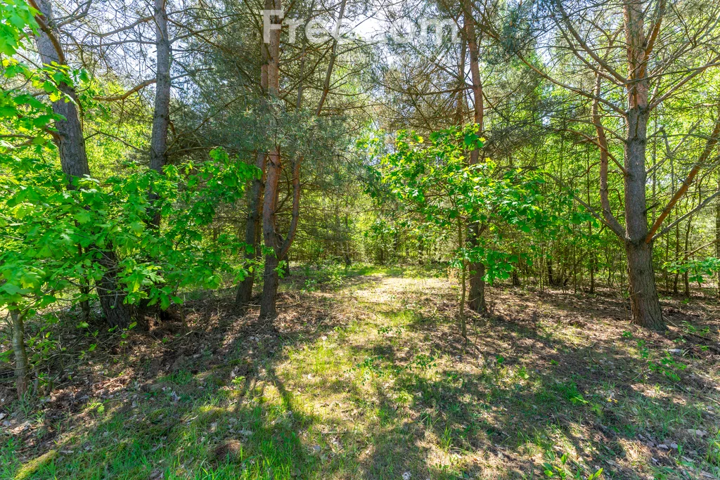 Działka 1 307,00 m², oferta nr , 10658/3685/OGS, Kędzierówka