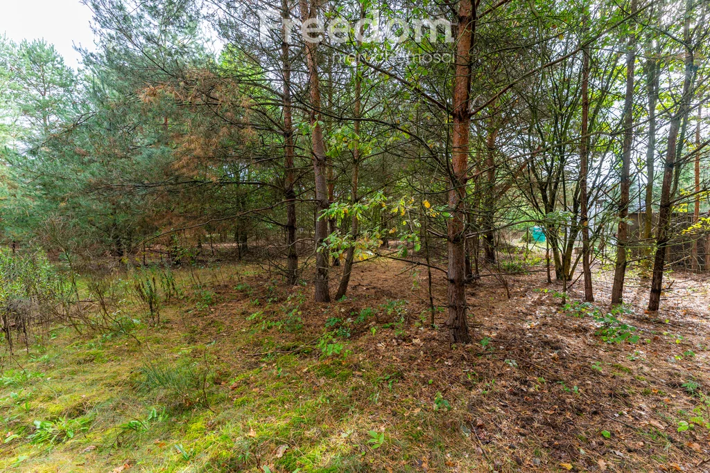 Działka 1 007,00 m², oferta nr , 11331/3685/OGS, Kędzierówka