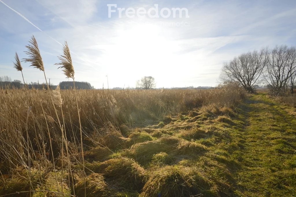 Działka 4 445,00 m², oferta nr , 11500/3685/OGS, Kępno