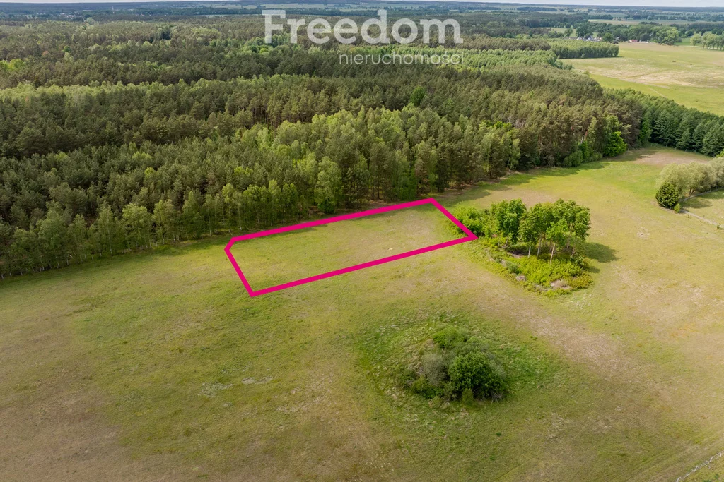 Działka 3 001,00 m², oferta nr , 10577/3685/OGS, Kłębowiec