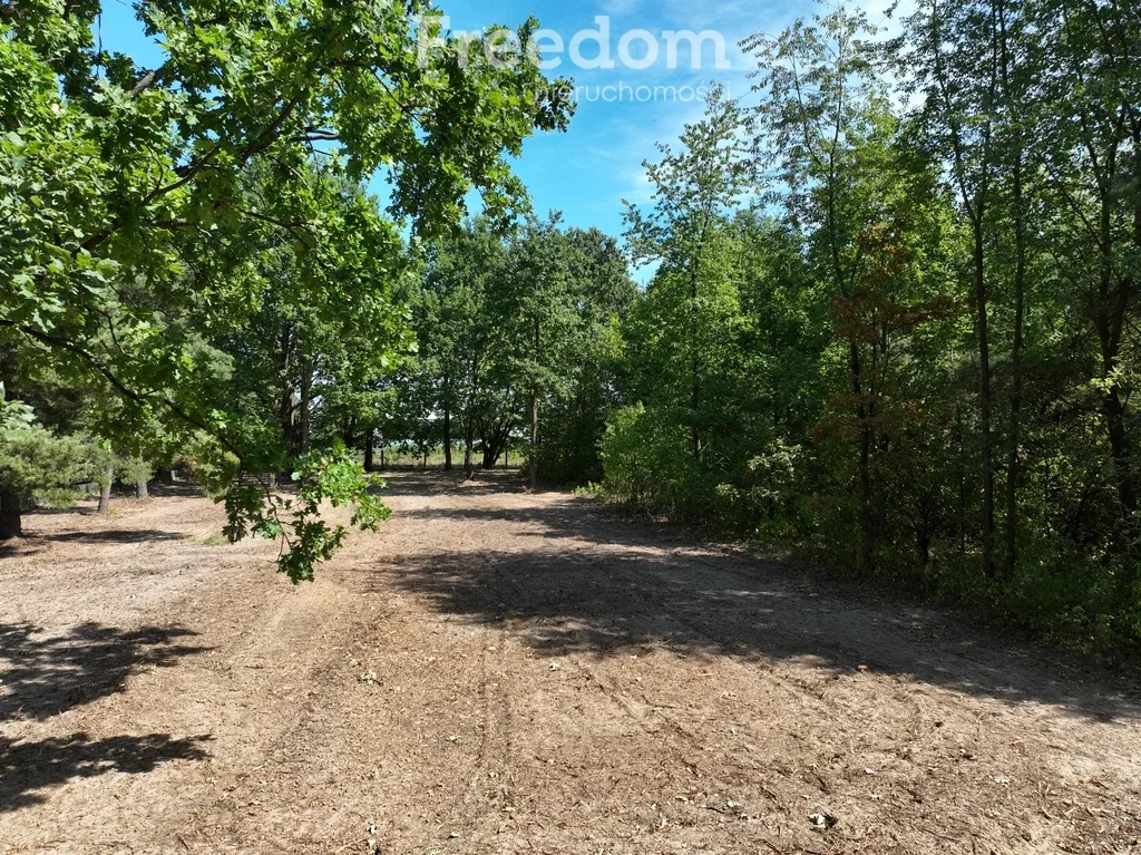 Działka 1 538,00 m², oferta nr , 11144/3685/OGS, Wiązowna, Klonowa
